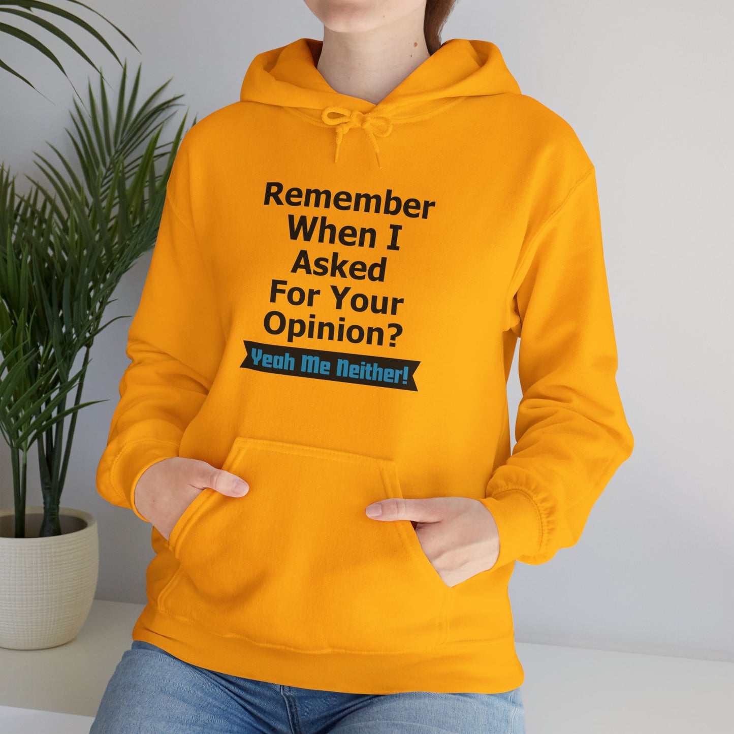 Unisex Hoodie "Asked Your Opinion"