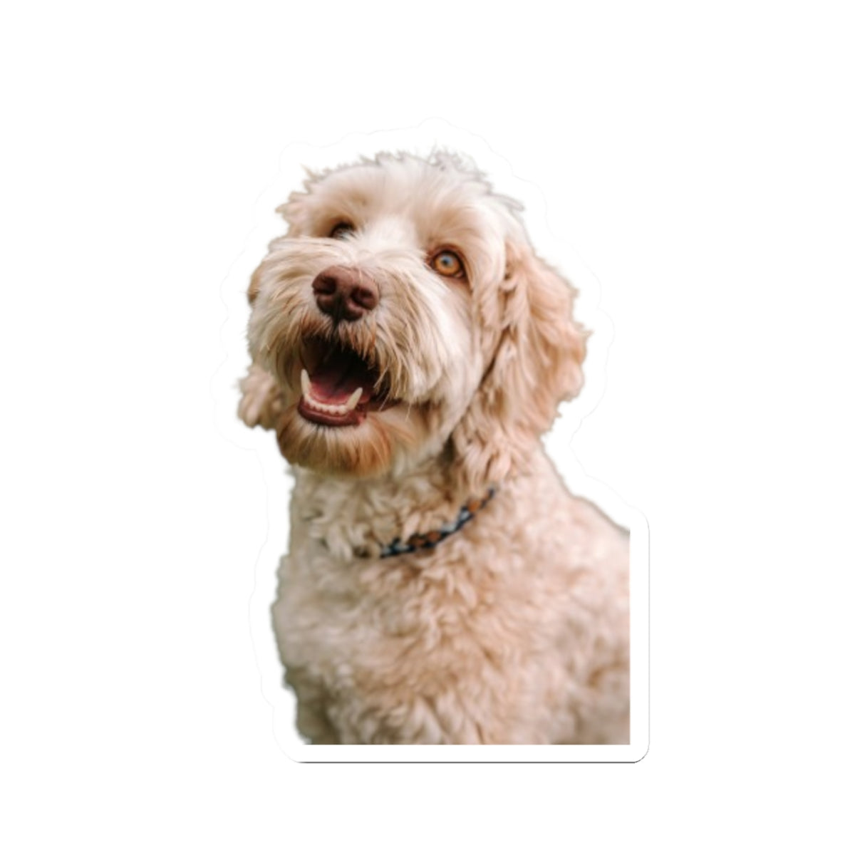 Kiss-Cut Stickers My Labradoodle