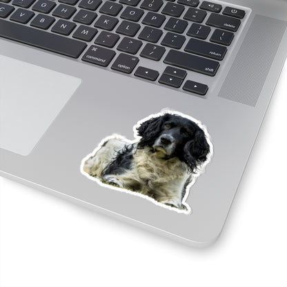 Kiss-Cut Stickers My Spaniel