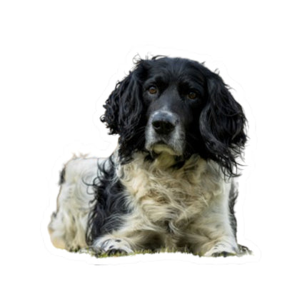 Kiss-Cut Stickers My Spaniel