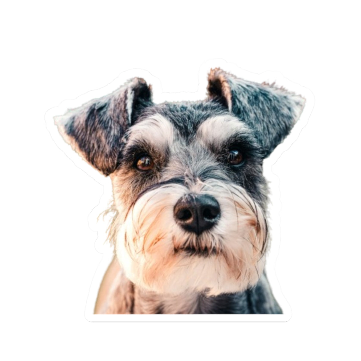 Kiss-Cut Stickers My Schnauzer