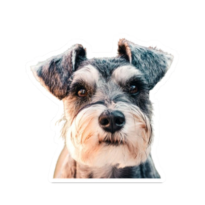 Kiss-Cut Stickers My Schnauzer
