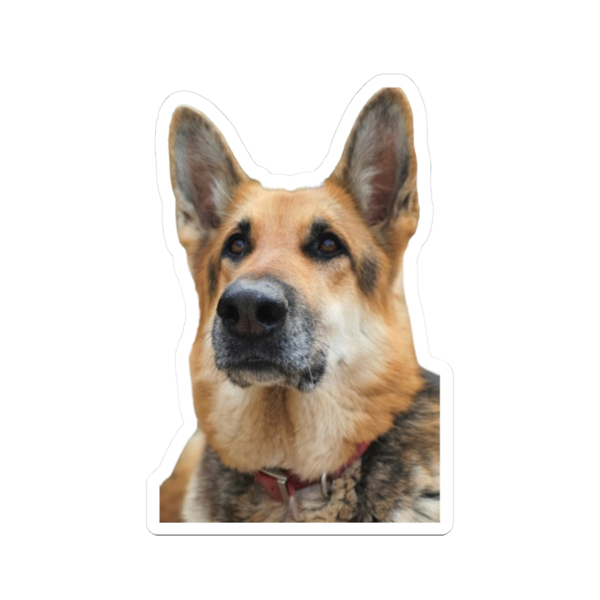Kiss-Cut Stickers My German Shepherd