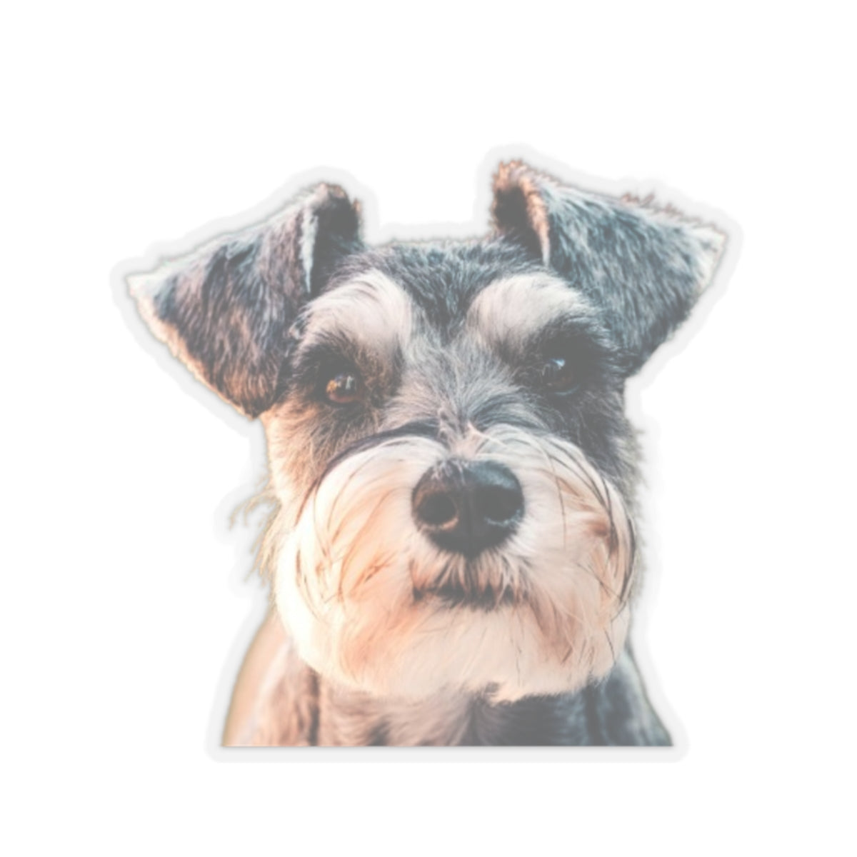 Kiss-Cut Stickers My Schnauzer
