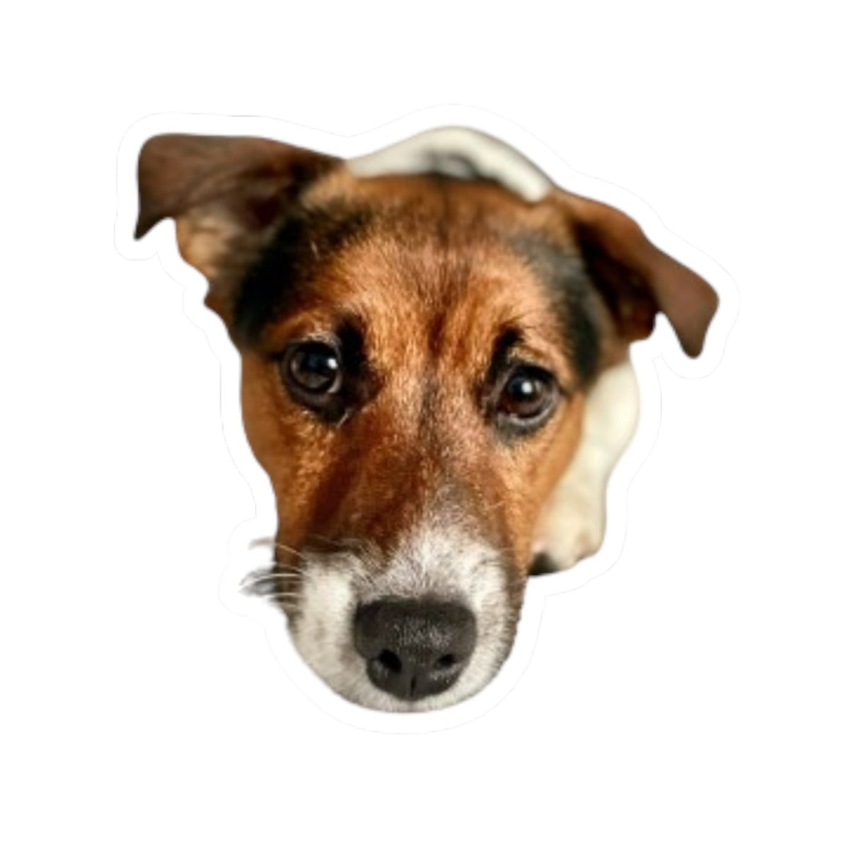 Kiss-Cut Stickers My Jack Russell
