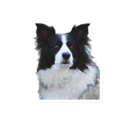 Kiss-Cut Stickers My Border Collie