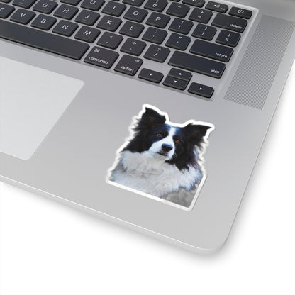 Kiss-Cut Stickers My Border Collie
