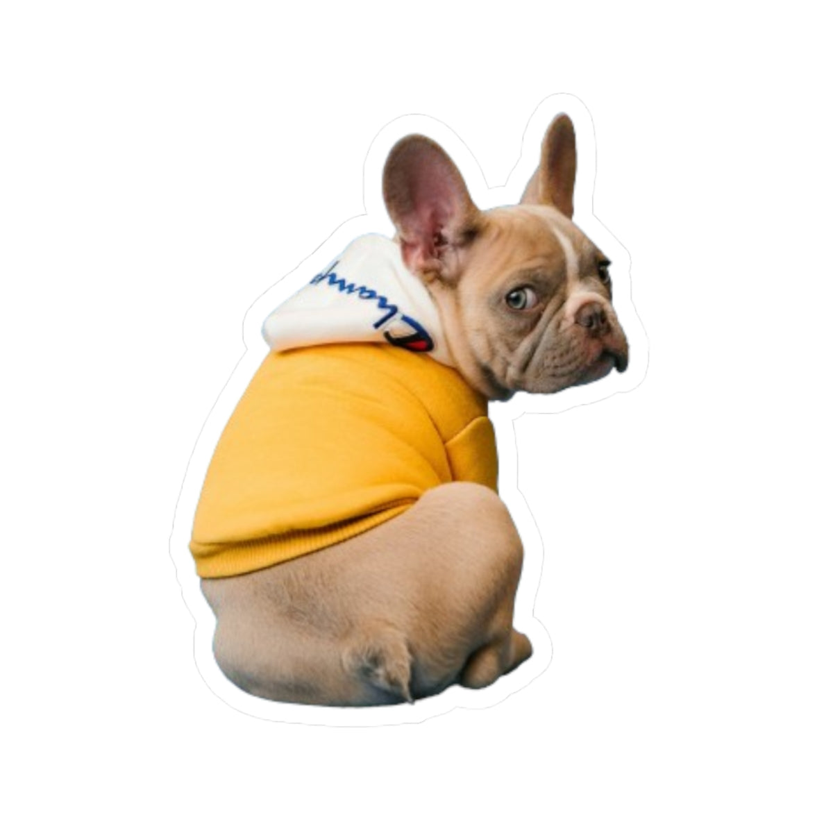 Kiss-Cut Stickers My French Bulldog