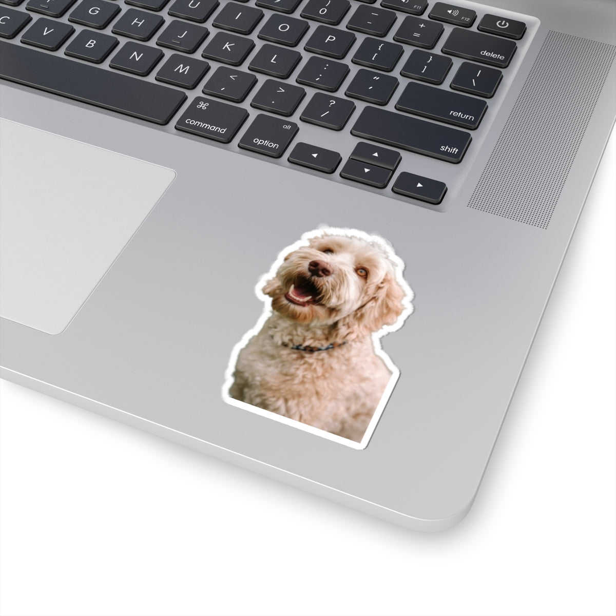 Kiss-Cut Stickers My Labradoodle