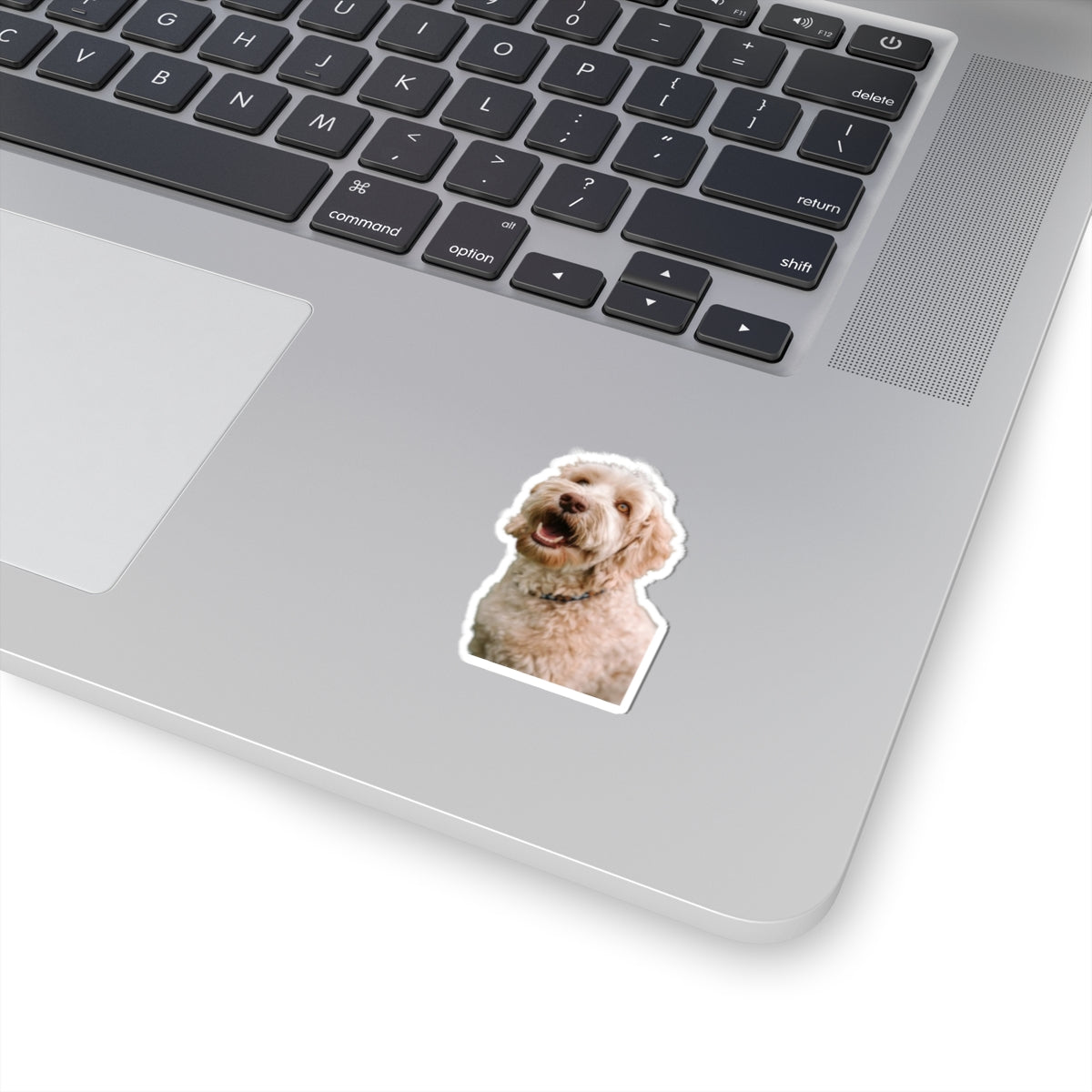 Kiss-Cut Stickers My Labradoodle